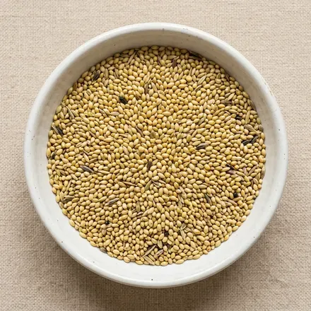 Canary Seed