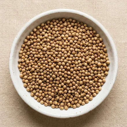 Coriander