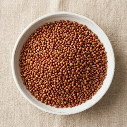 Sorghum Red